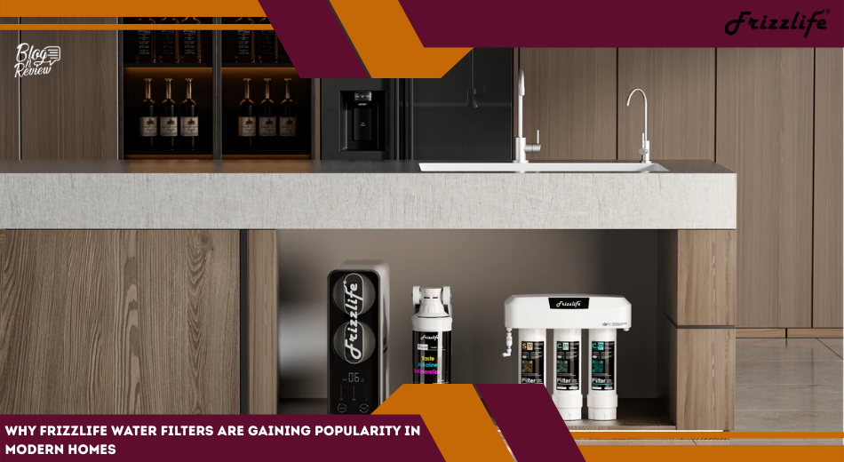 Frizzlife Water Filters