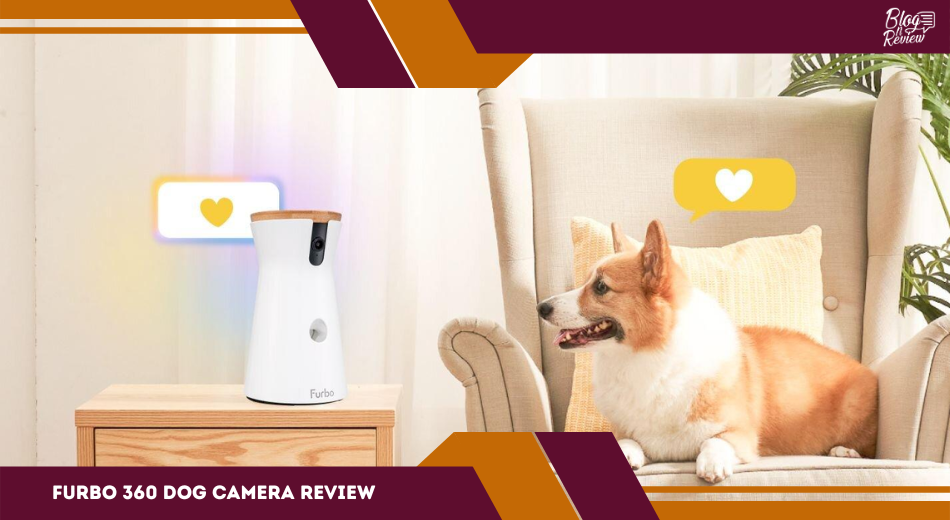 Furbo 360 Dog Camera Review