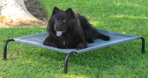 Paws & Pals Portable Elevated Pet Bed